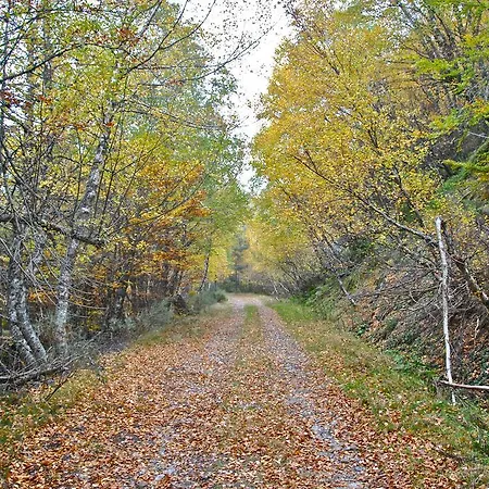 Casa Olga - Castilla Y Leon Cofinal
