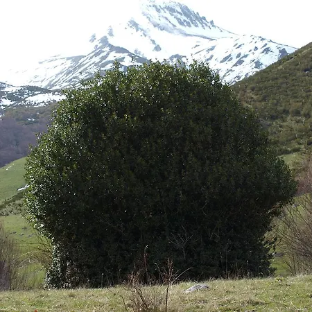 Casa Olga - Castilla Y Leon Πανσιόν 3*