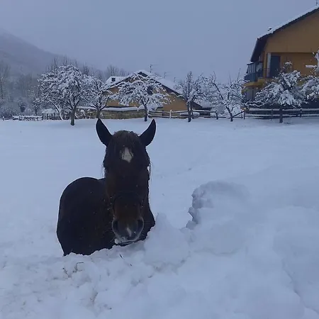 Casa Olga - Castilla Y Leon Πανσιόν Cofinal