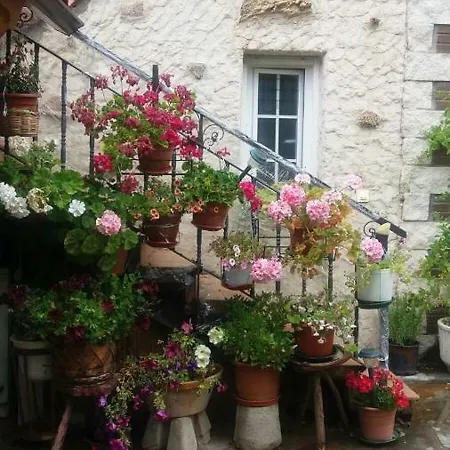 Casa Olga - Castilla Y León Cofinal