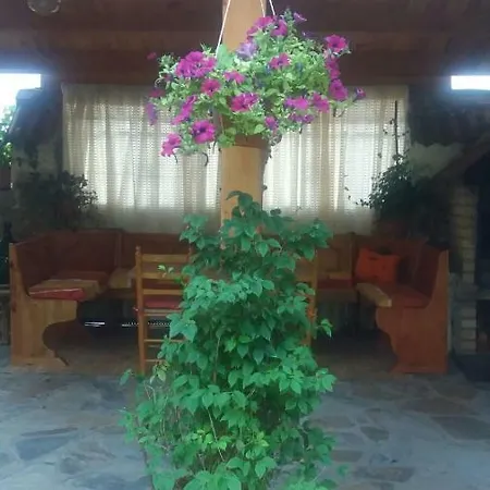 Casa Olga - Castilla Y León Cofinal