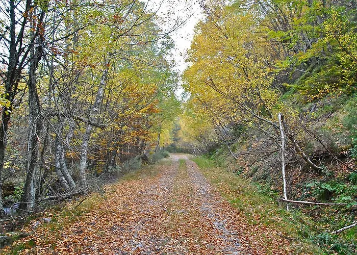 Casa Olga - Castilla Y Leon Cofinal