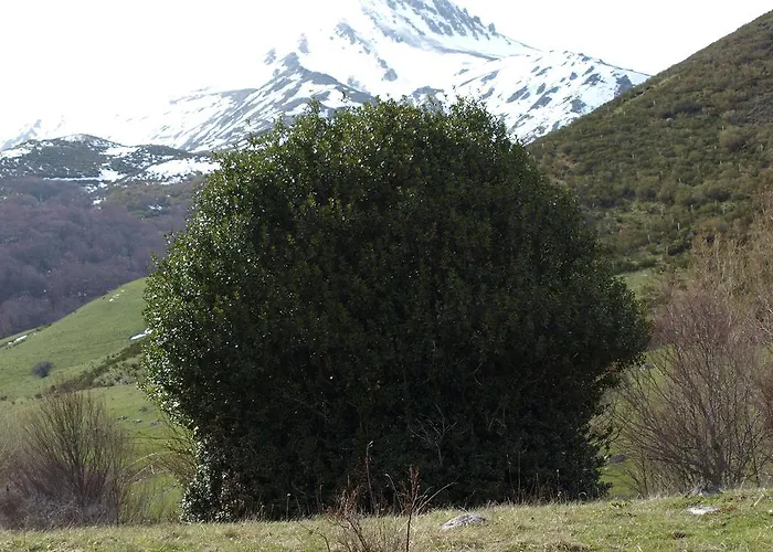 Casa Olga - Castilla Y Leon Guest house 3*