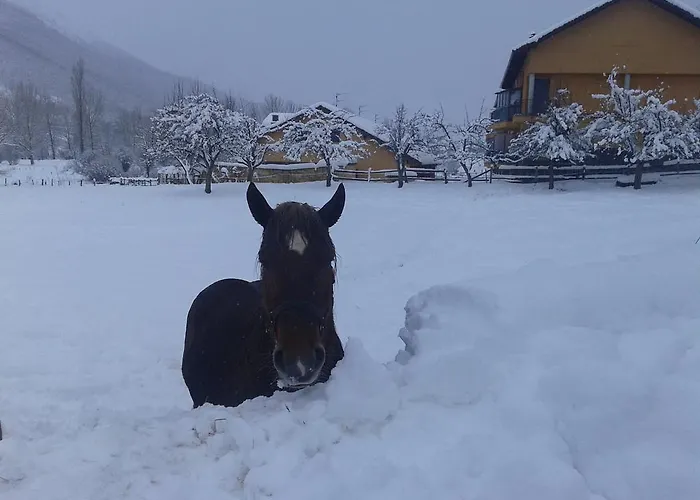 Casa Olga - Castilla Y Leon Guest house Cofinal